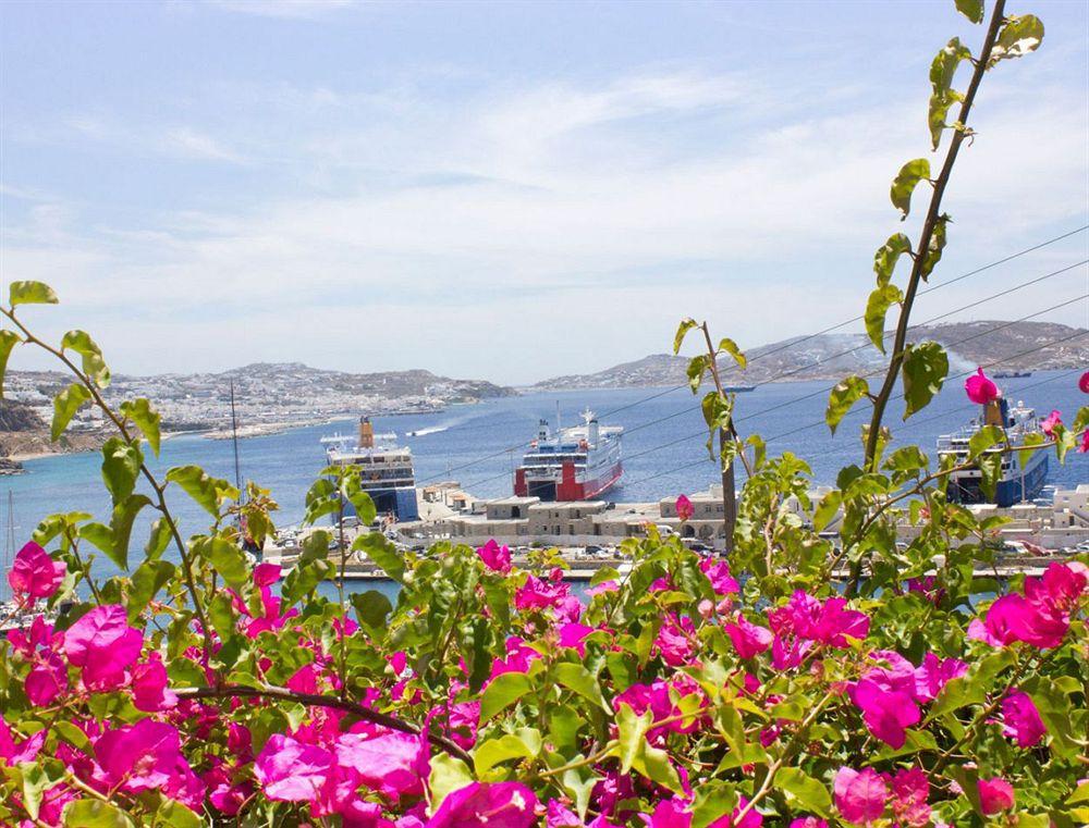 Paradision Hotel Mykonos Town Dış mekan fotoğraf